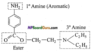 MP Board Class 11th Chemistry Important Questions Chapter 12 Organic Chemistry Some Basic Principles and Techniques  108