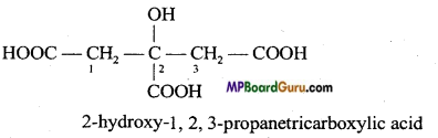 MP Board Class 11th Chemistry Important Questions Chapter 12 Organic Chemistry Some Basic Principles and Techniques  64