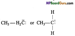 MP Board Class 11th Chemistry Important Questions Chapter 12 Organic Chemistry Some Basic Principles and Techniques  66