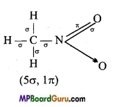 MP Board Class 11th Chemistry Important Questions Chapter 12 Organic Chemistry Some Basic Principles and Techniques  96