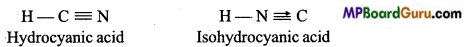 MP Board Class 11th Chemistry Important Questions Chapter 13 Hydrocarbons 24