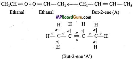 MP Board Class 11th Chemistry Important Questions Chapter 13 Hydrocarbons 32